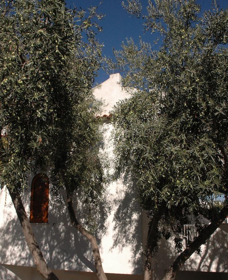 Forio di Ischia Residence Villa Tina المظهر الخارجي الصورة